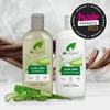 Kép 6/6 - Dr. Organic hajkondicionáló (aloe vera)