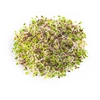 Kép 1/2 - Legeldle Vajrépa Csíra Mag (150 g)
