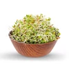 Kép 3/3 - Legeldle Bíborhere Csíra Mag (100 g)