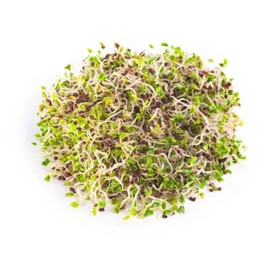 Legeldle Vajrépa Csíra Mag (150 g)