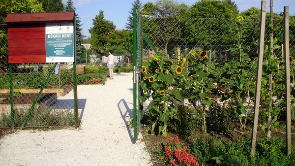 Közösségi kertek Budapesten - Békási kert