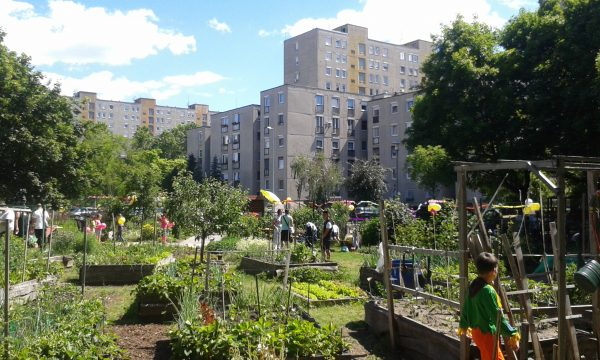 Közösségi kertek Budapesten - Első Kispesti Kert