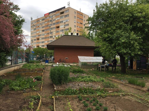 Közösségi kertek Budapesten - Csárdás kert