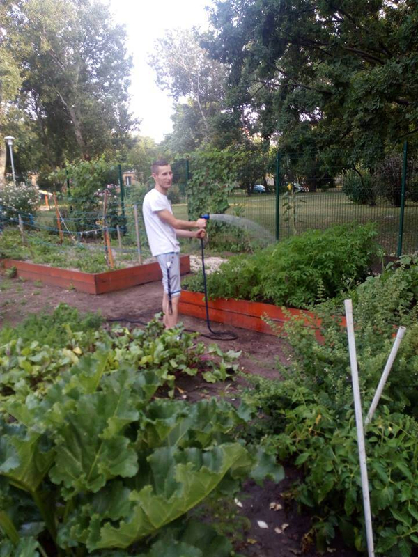Közösségi kertek Budapesten - Lőrinci kertelő