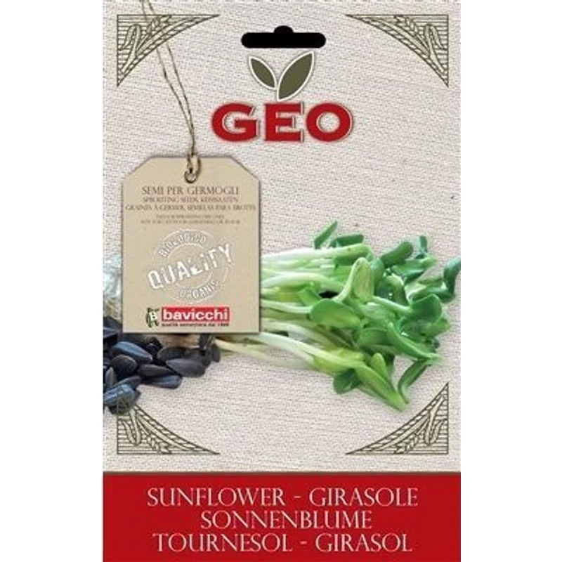 Napraforgó mag csíráztatásra bio, Geo
