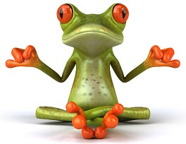joga_beka.jpg joga_beka.jpg