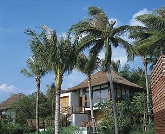 senses_thaifold_02.jpg senses_thaifold_02.jpg